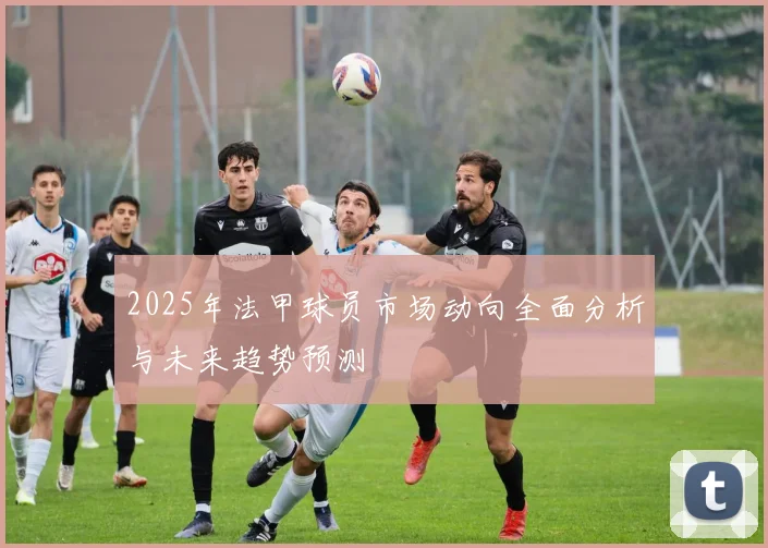 2025年法甲球员市场动向全面分析与未来趋势预测