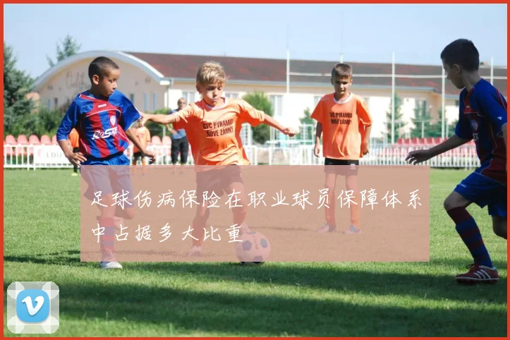 足球伤病保险在职业球员保障体系中占据多大比重