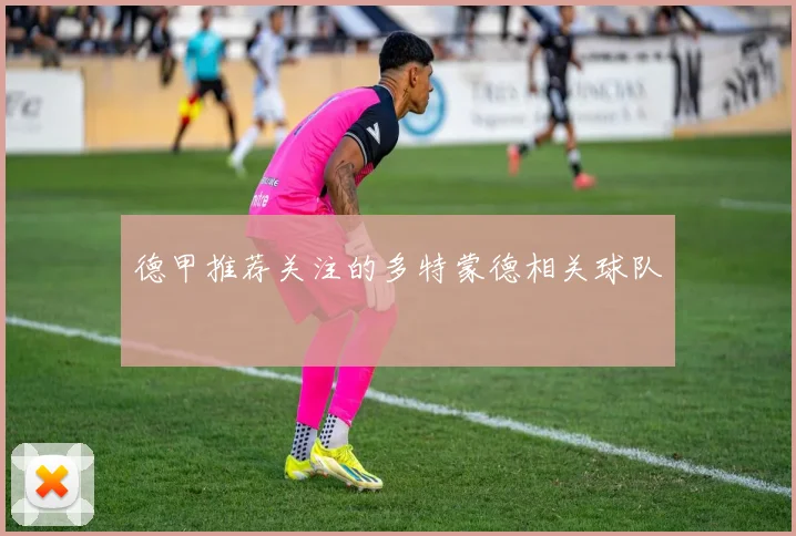 德甲推荐关注的多特蒙德相关球队