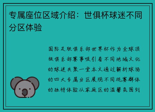 专属座位区域介绍：世俱杯球迷不同分区体验